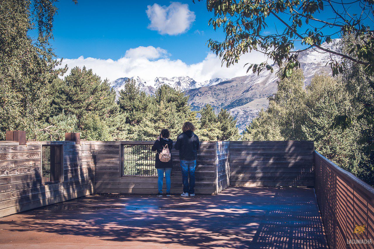 La importancia de los parques faunísticos en la educación ambiental