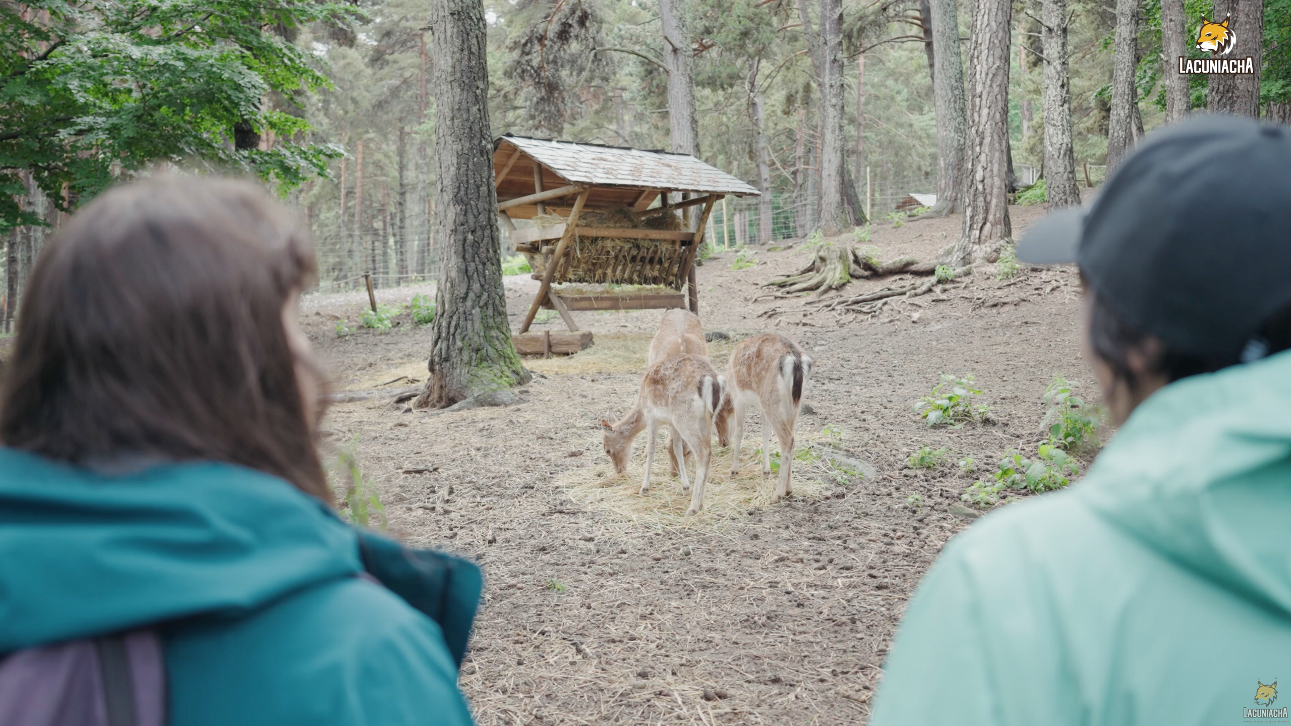 Guía completa para disfrutar de Lacuniacha con niños
