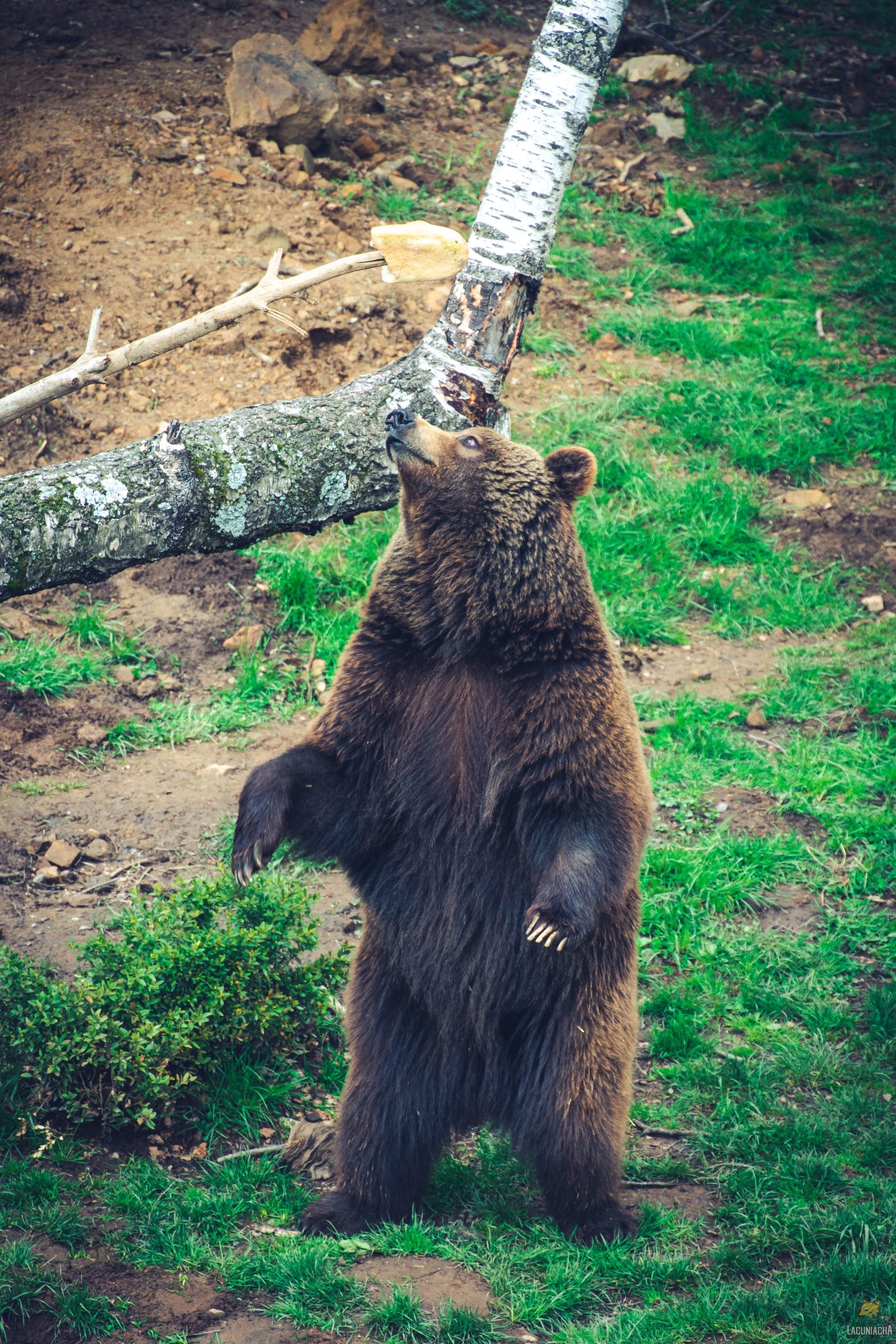 ¿Qué llevar en tu mochila para un día en Lacuniacha?