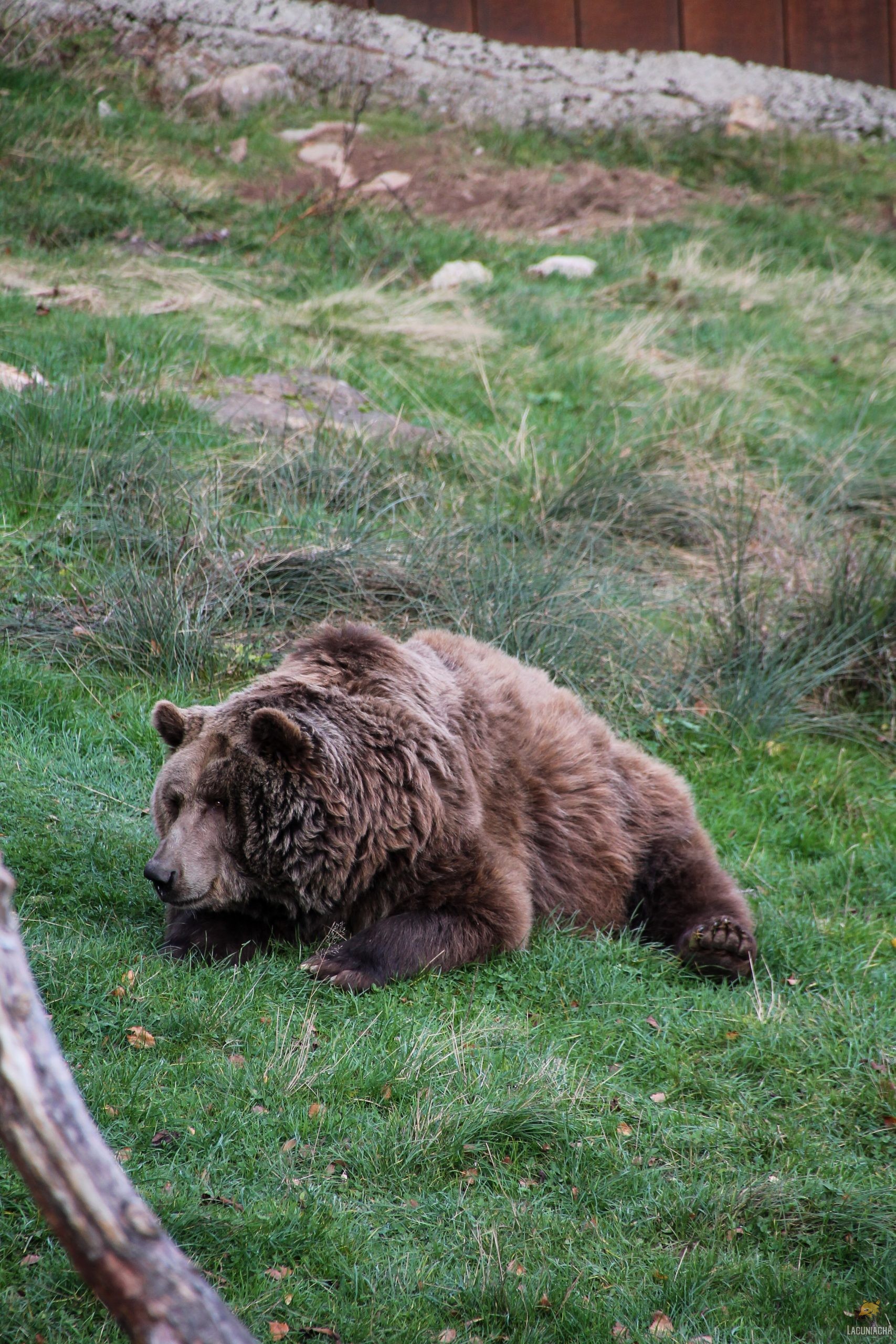 Conservación de fauna